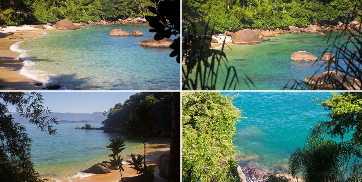 Ilha das couves Ubatuba