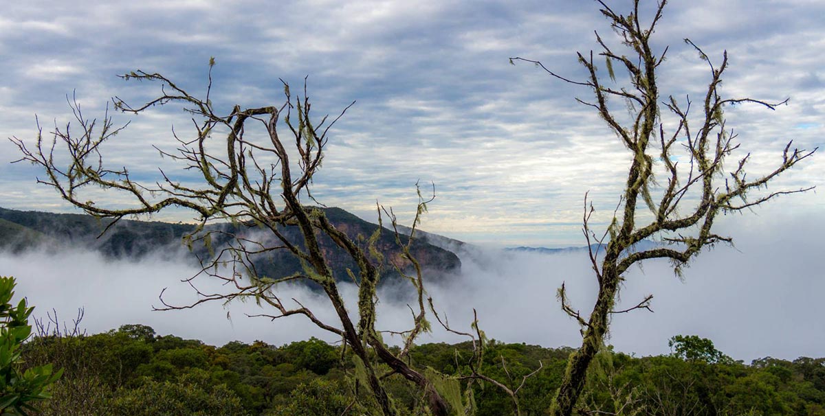 Trilha para Janela do Céu Ibitipoca