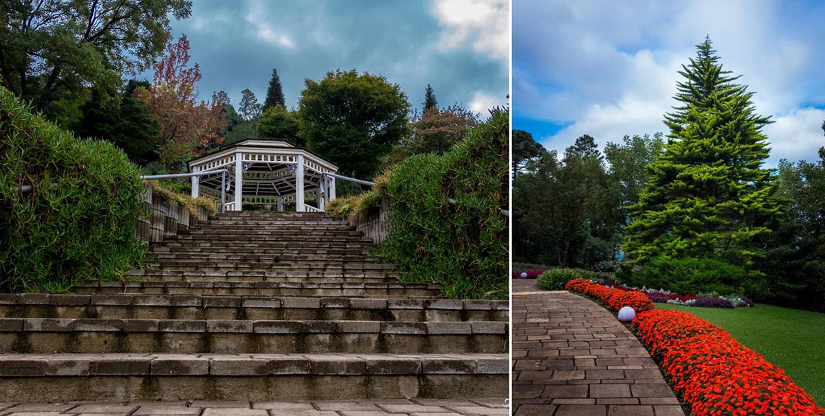 Le Jardin Parque de Lavanda Gramado